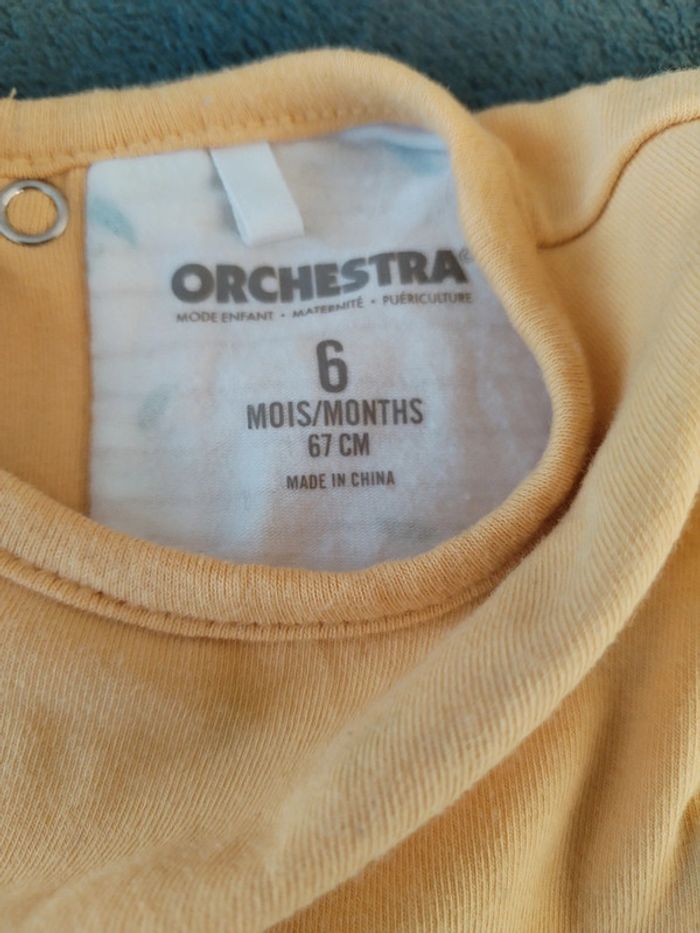 Bodie 6 mois Orchestra - photo numéro 3
