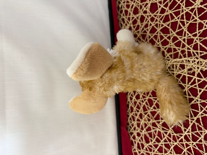 Peluche renard fennec WILD REPUBLIC orange beige - photo numéro 4