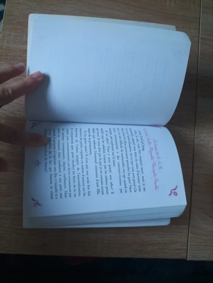 La fête d'une princesse tome 7 - photo numéro 3