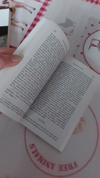 Livre La princesse de Clèves