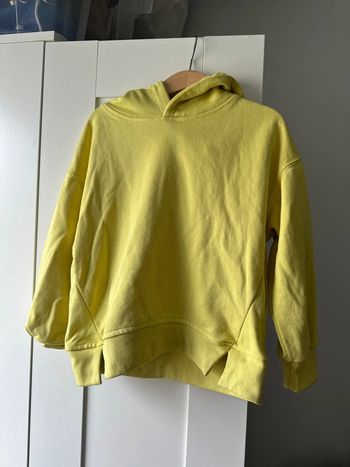 Sweat-shirt capuche Zara