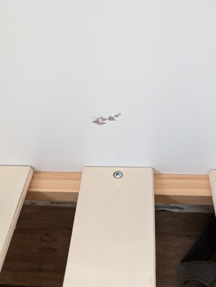 Lit enfant banquette - photo numéro 5