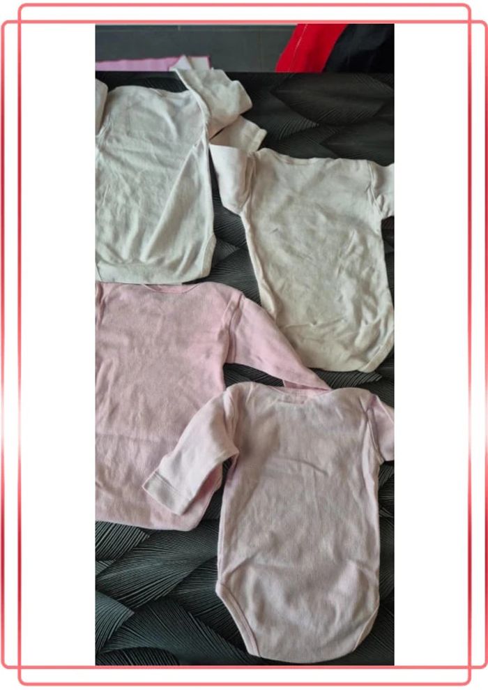 Lot de 4 bodies - photo numéro 2