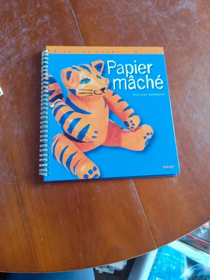 Livre : activités manuelles