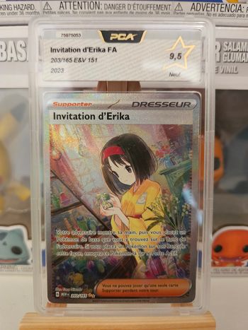 Erika 203 PCA 9.5