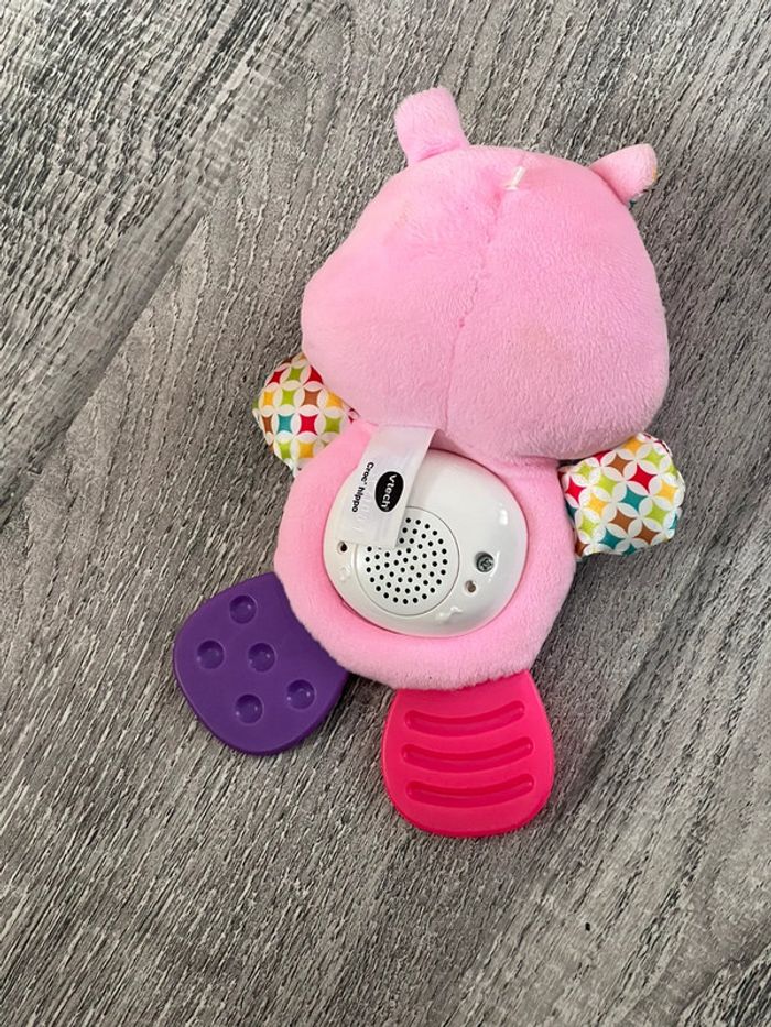 Croc Hippo - photo numéro 2