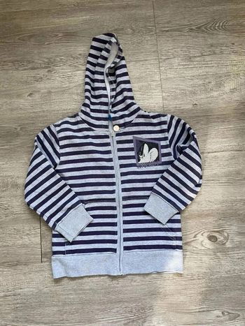 Veste Disney à Capuche Gris 6 Ans