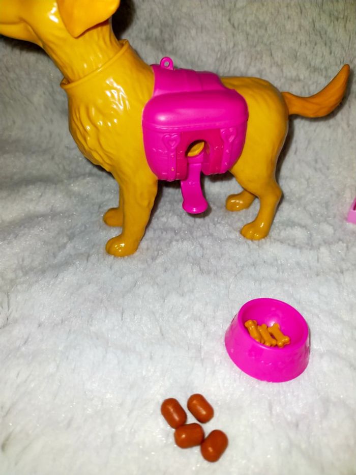 Chien de barbie - photo numéro 3