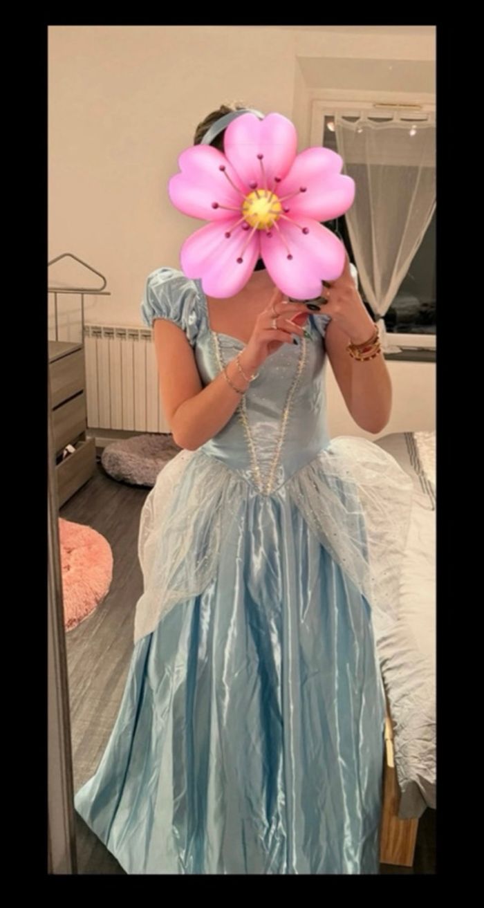 Robe/Déguisement Cendrillon