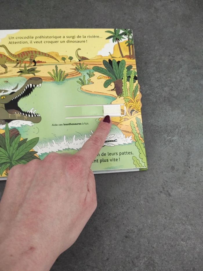 Livre dinosaures - photo numéro 4