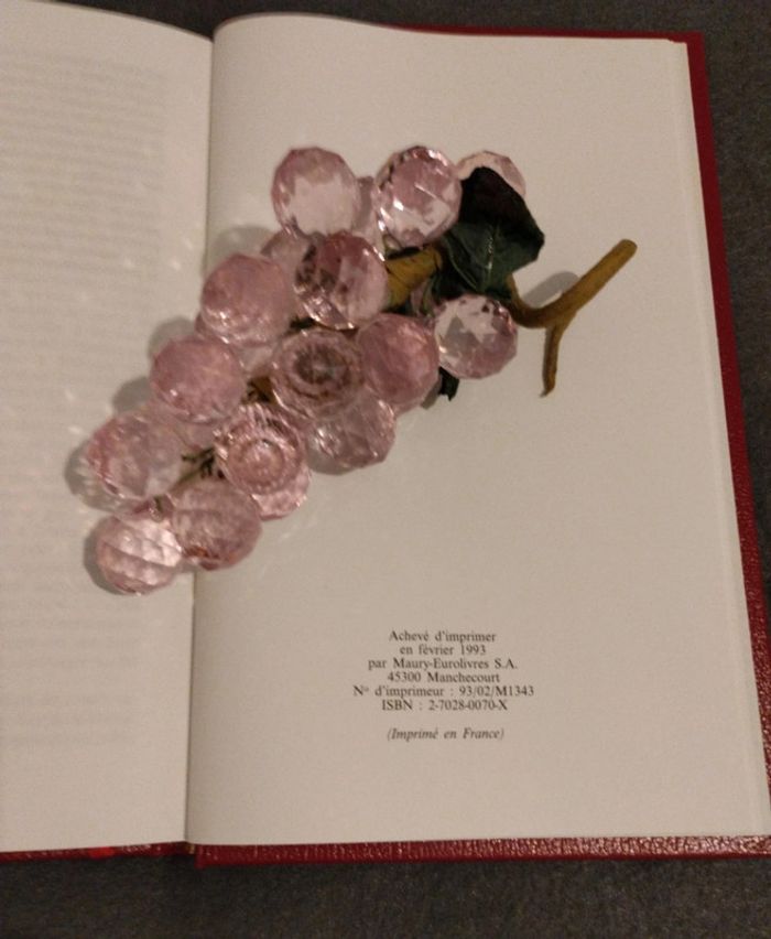 La Rabouilleuse de Balzac - photo numéro 4