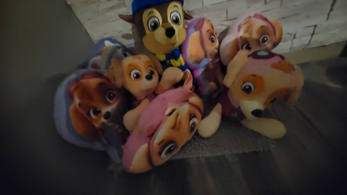 Lot de peluches pat patrouille - photo numéro 10