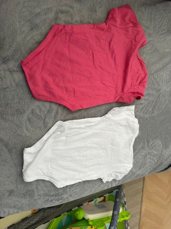 2 bodies