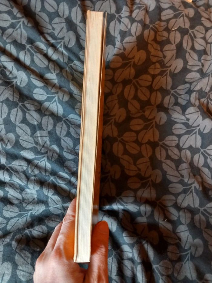 Plaisir de photographier - photo numéro 4