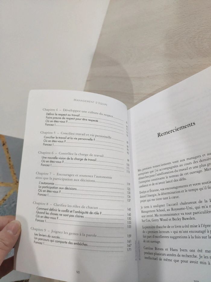 Livre management équipe 7 leviers améliorer bien être efficacité professionnelle Brun - photo numéro 12
