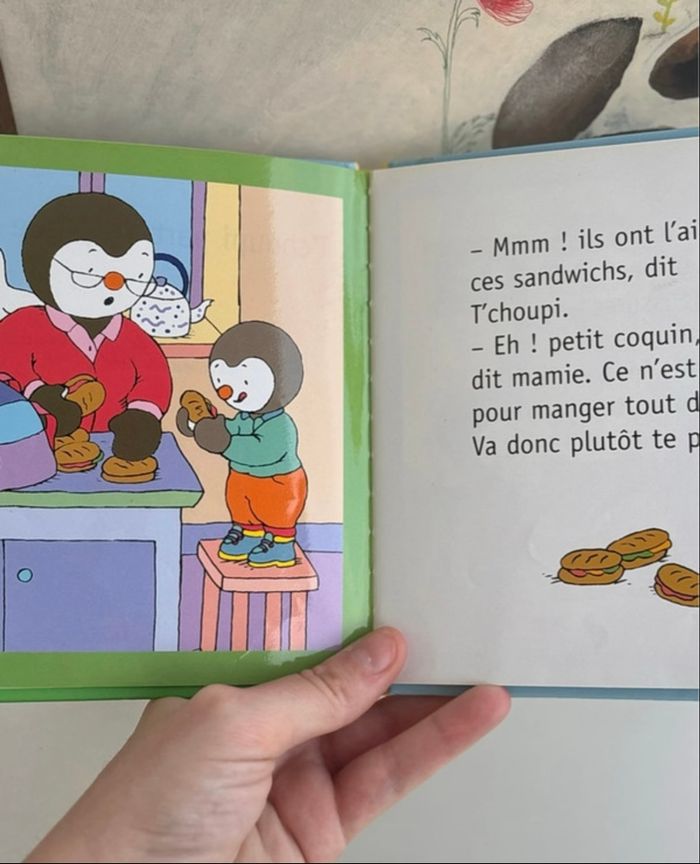 Livre tchoupi part en pique nique - photo numéro 2