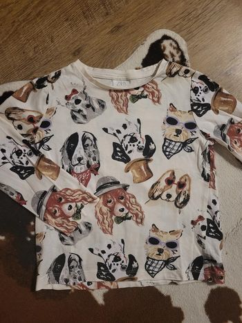 Tee shirt motifs chien fille 7ans zara