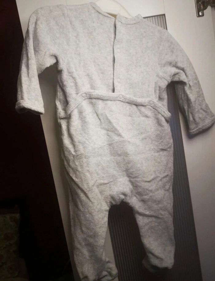 Grenouillère - photo numéro 3