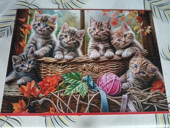 Puzzle 1000 pièces 