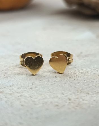 Jolies puces d'oreilles en acier inoxydable