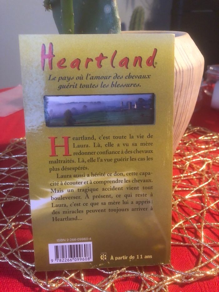 Heartland - Je reste ! Lauren Brooke - photo numéro 2