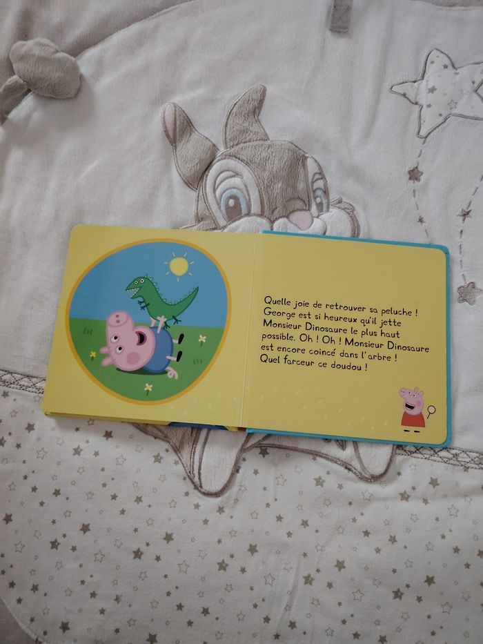 Livre perdu son doudou - photo numéro 7