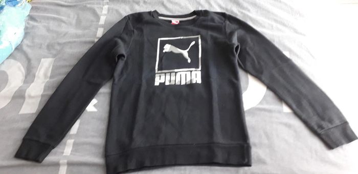Pull puma
