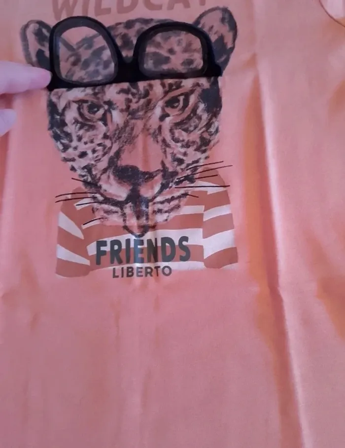 Tee-shirt tigre a lunette. - photo numéro 3