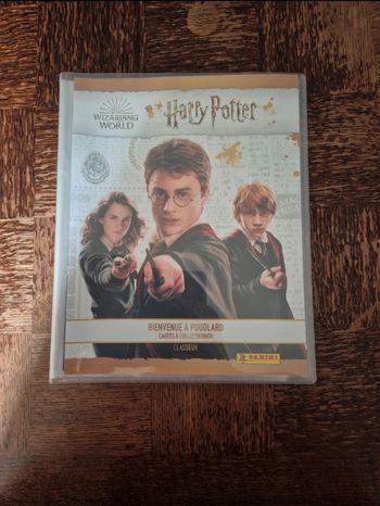 Harry potter panini