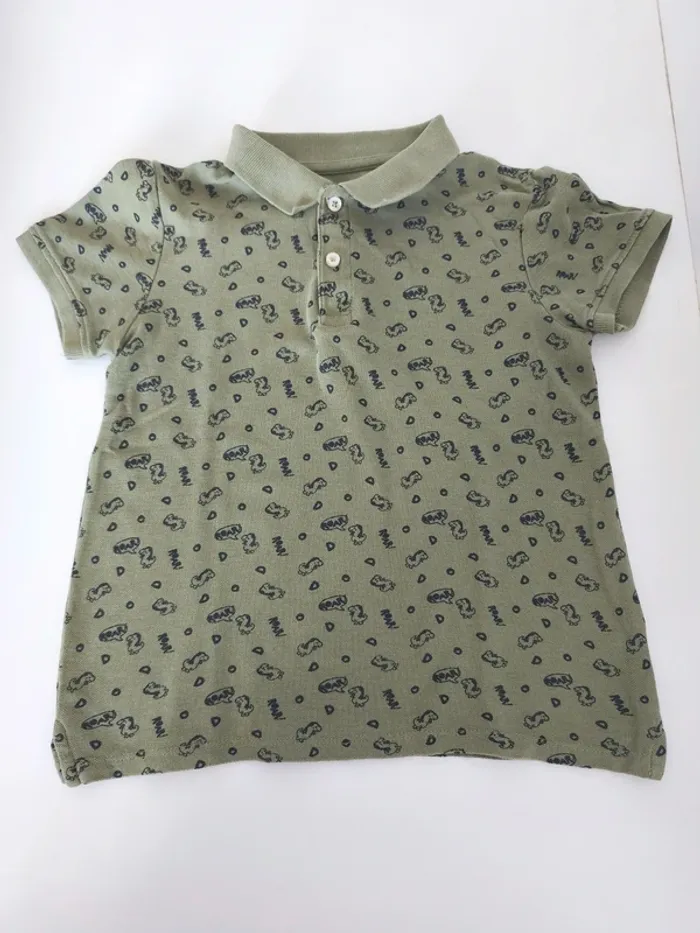 Polo dinosaure