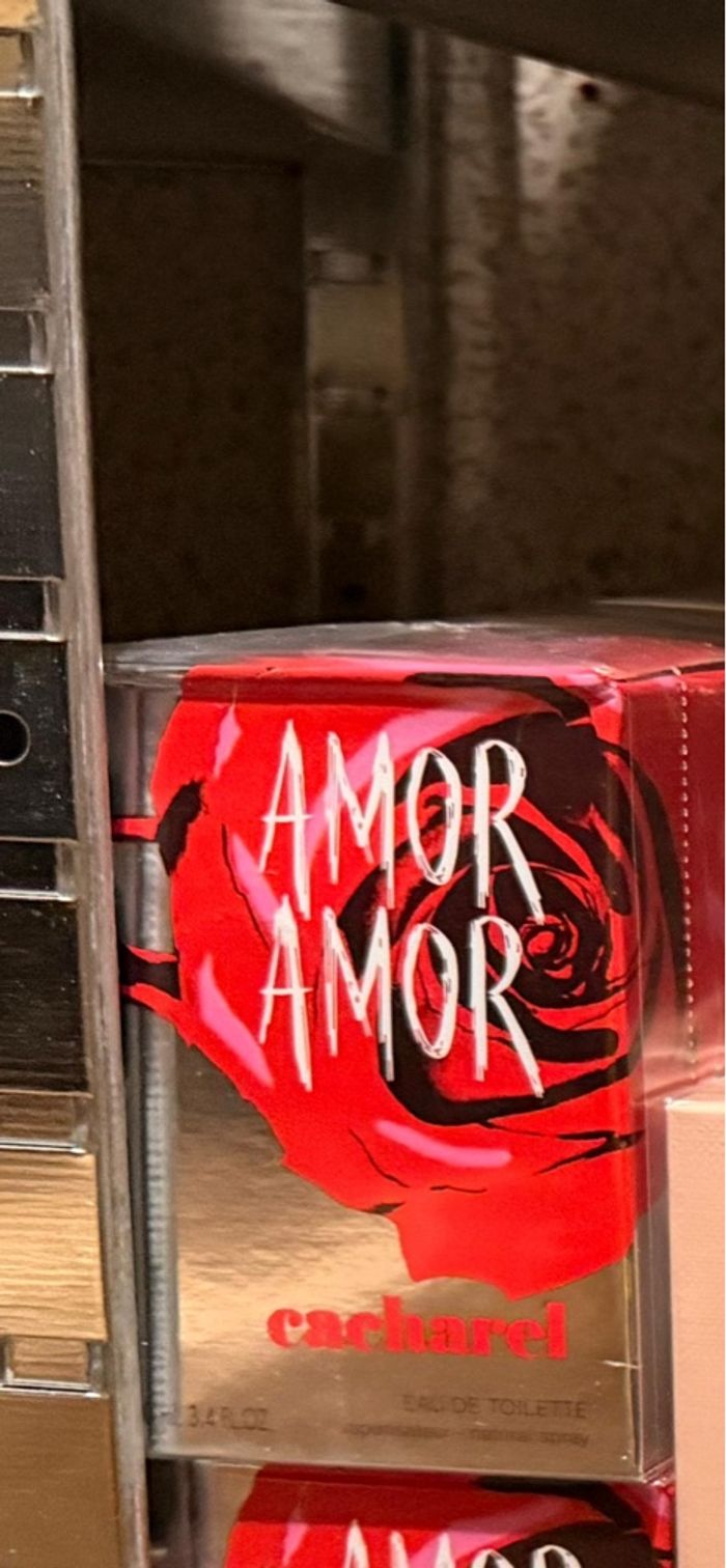 Amor amor