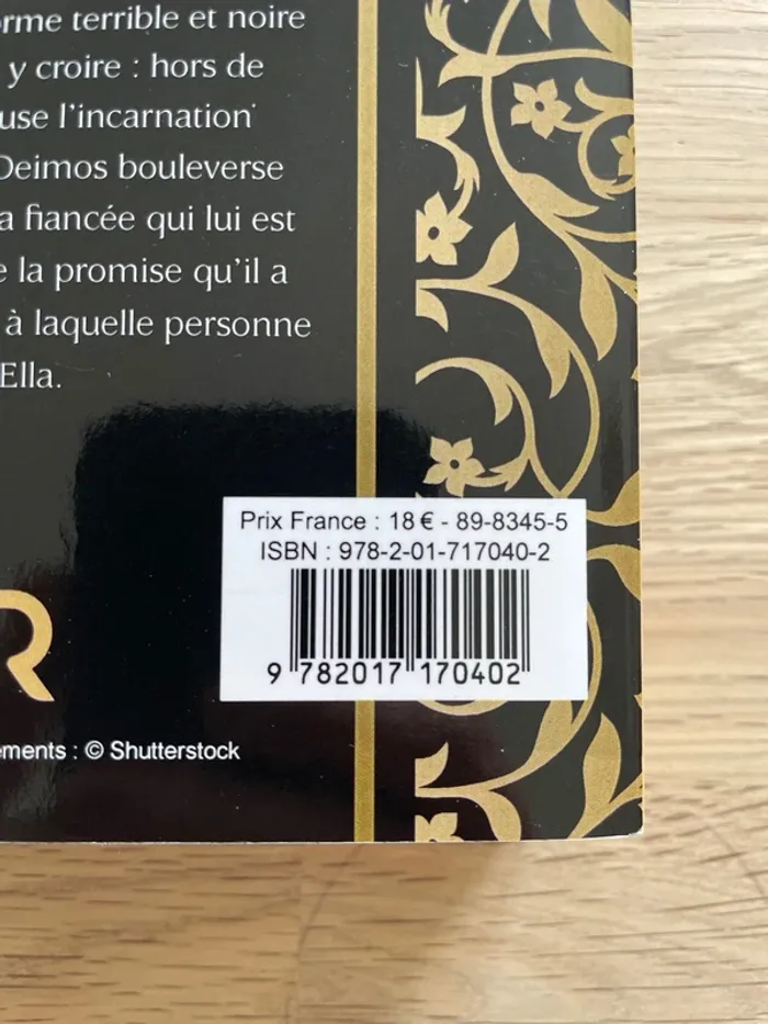 Tome 1 Witch and god - photo numéro 4