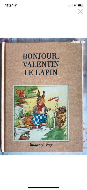 Bonjour, valentin le lapin