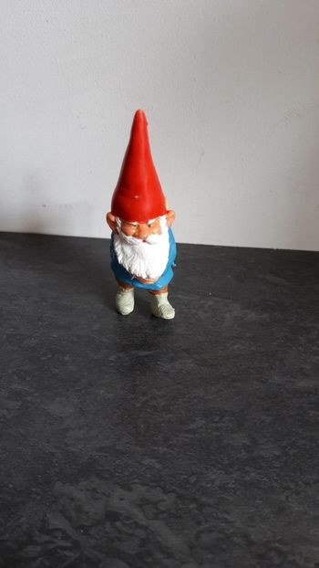 David Le Gnome