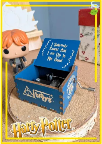 Boite à Mélodie Harry Potter
