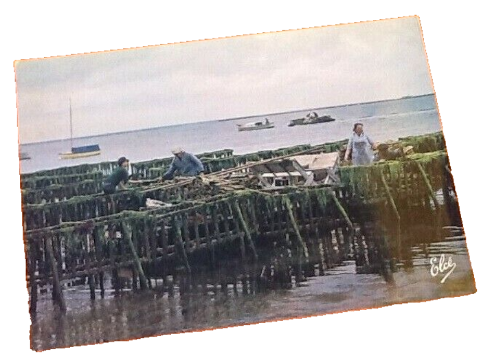Carte postale Arcachon (Gironde) Travaux Ostréicoles Les casiers remplis de tuiles pour la récolte