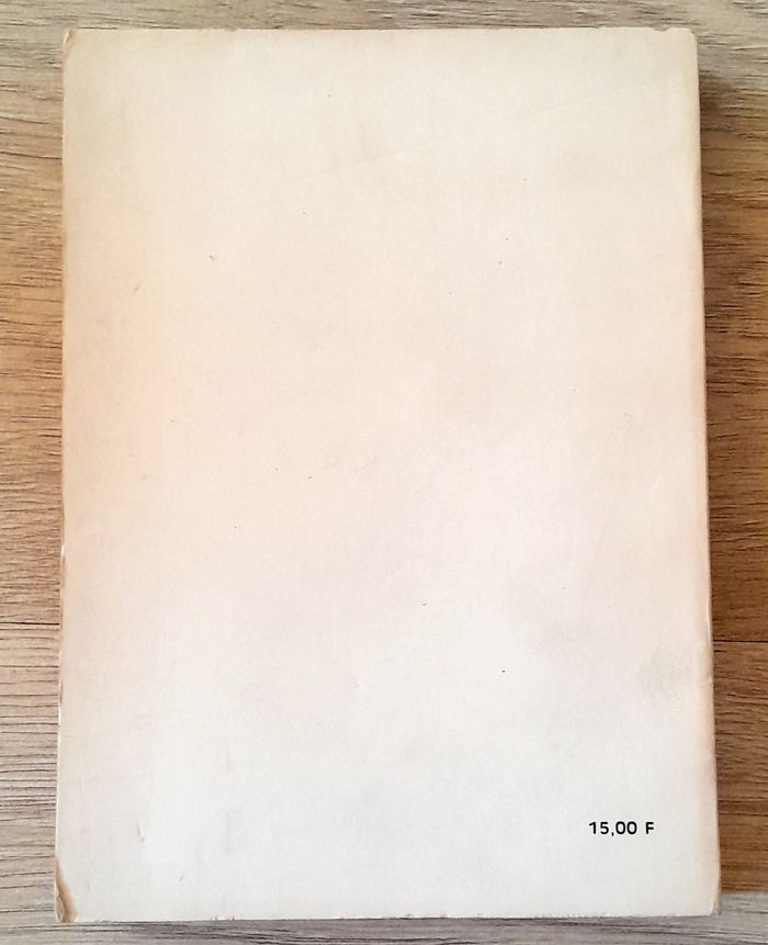 le chevalier au vert lion - Paul bertrand de la glassière - photo numéro 3