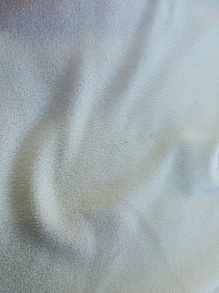 Polaire crème - photo numéro 4