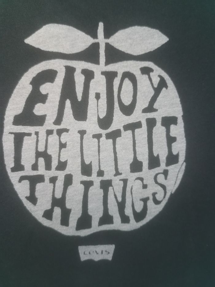 Tee shirt levi's 10 ans - photo numéro 5