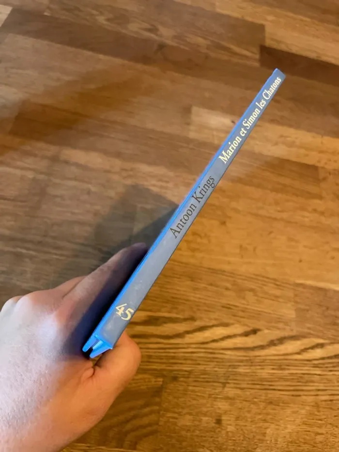 Livre Les Drôle de petites bête Numéro 45 Marion et Simon les chatons - photo numéro 2