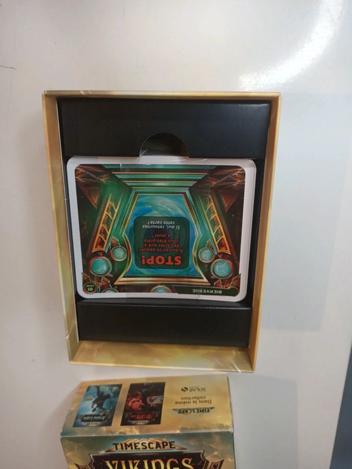 Escape game timescape vikings edition solar - photo numéro 3