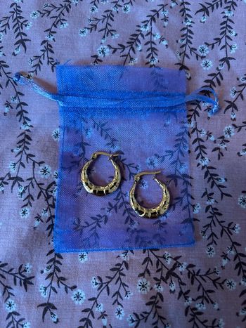 Boucles d’oreilles en acier inoxydable