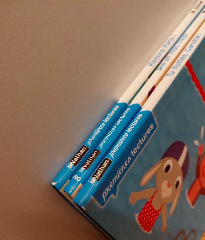 lot de 3 livres les copains du CP - photo numéro 5