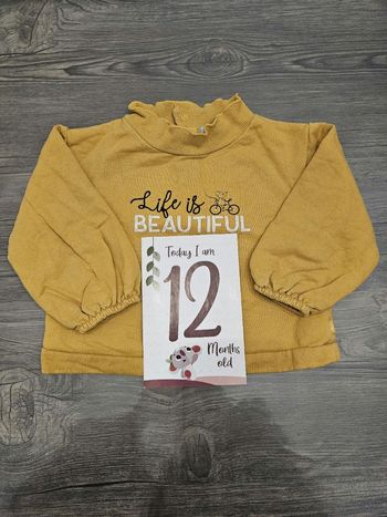Pull 12 mois
