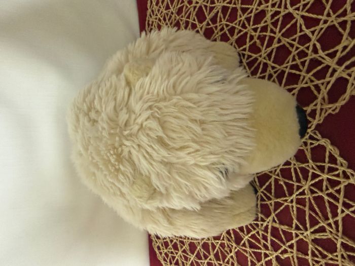 Peluche ours polaire MARINELAND beige - photo numéro 3