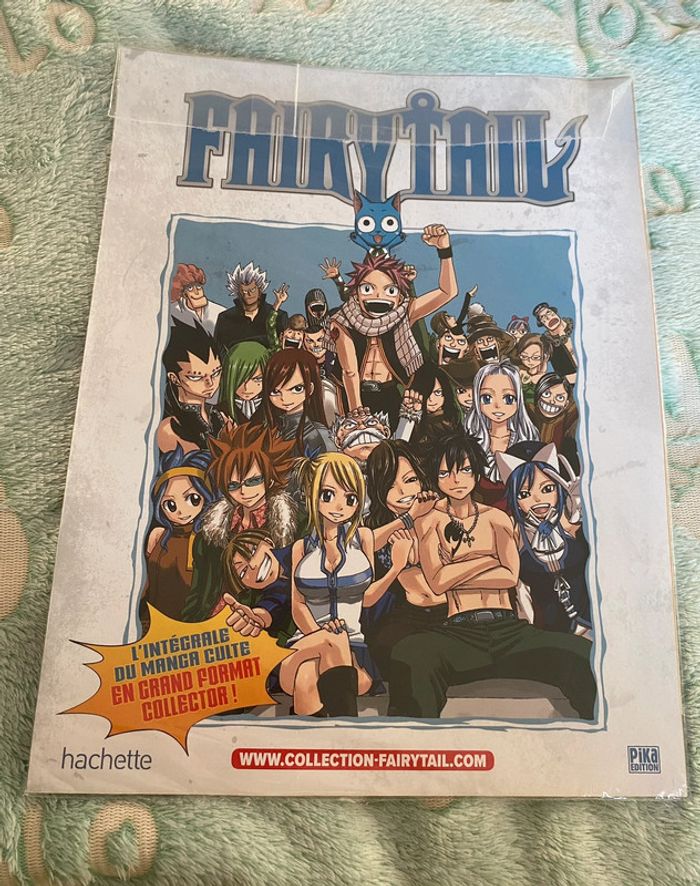 Fairy Tail grand format - photo numéro 4