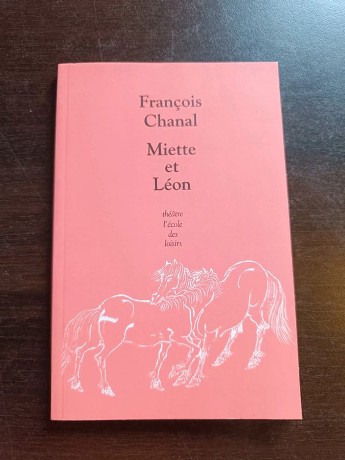 Livre MIETTE ET LEON - François Chanal