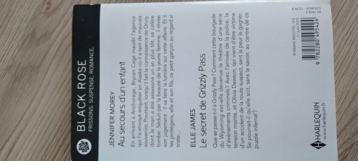 Livre "Au secours d'un enfant de jennifer Morey + "Le secret de Grizzly pass" d'Elle James - photo numéro 2