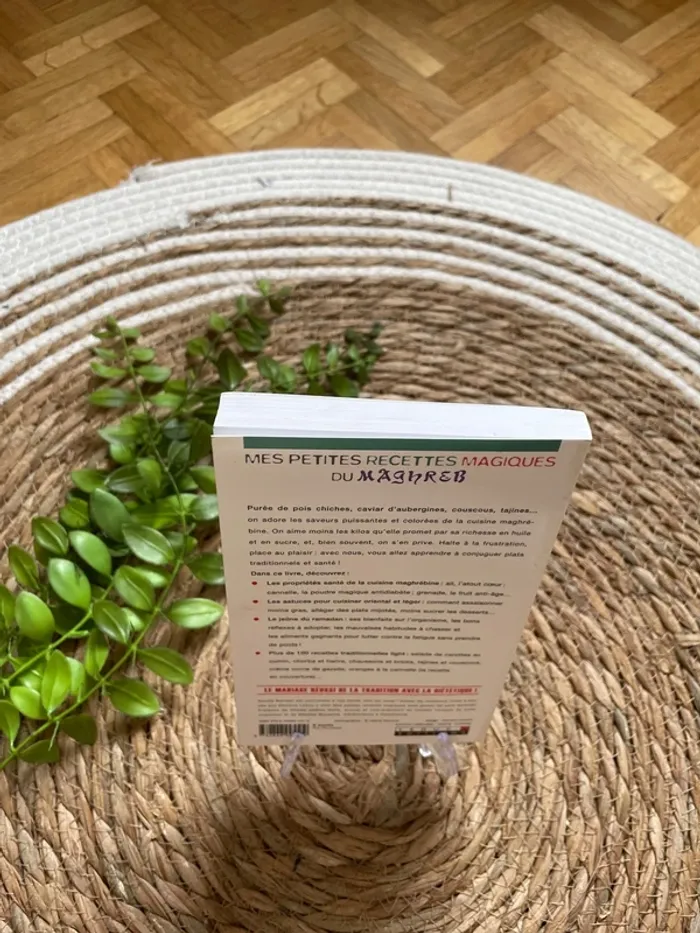 Livres - mes petites recettes magiques du Maghreb - photo numéro 3