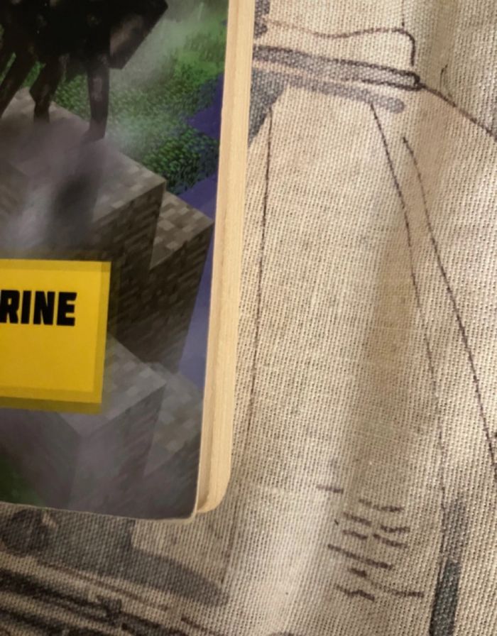 L’oracle du temple de la jungle Minecraft - photo numéro 8